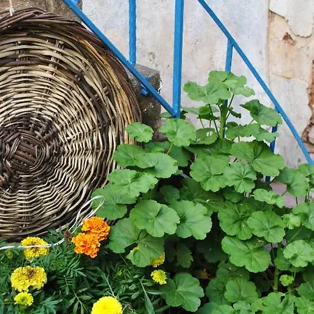 Florina Guest house