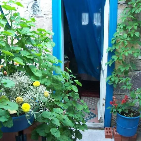 Florina Guest house