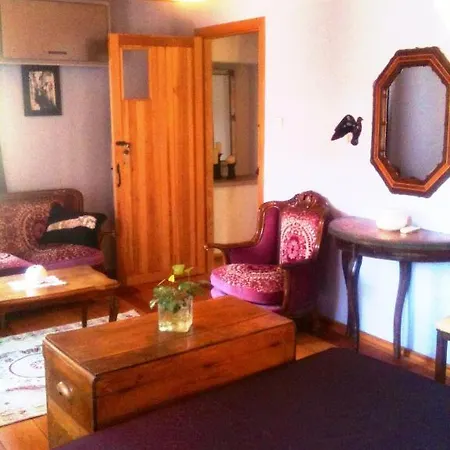 Guest house Florina 4*