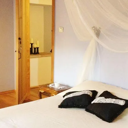 Pensionat Florina 4*